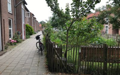 Zelfbeheer