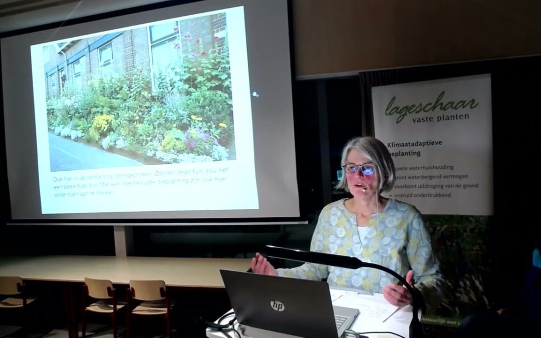 Kenniscafé beplanting voor de toekomst